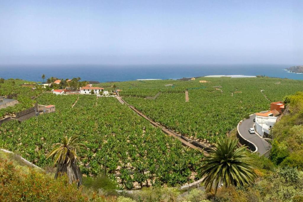Casa Canaria Acero Garachico  Eksteriør billede